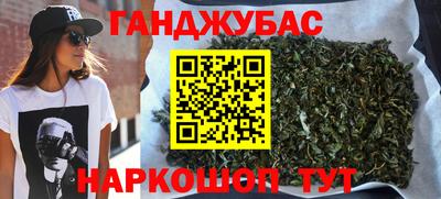 дмт Кингисепп
