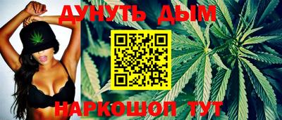 дмт Кингисепп
