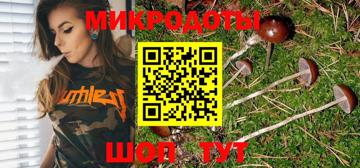 Галлюциногенные грибы Psilocybe Красногорск