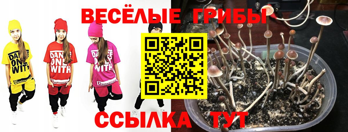 МАРИХУАНА Красногорск