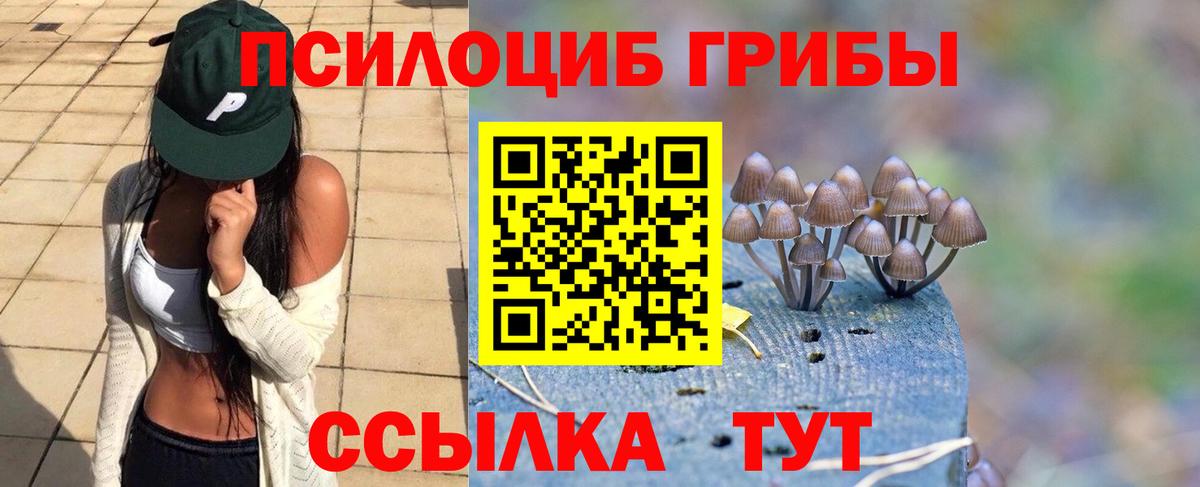 Красногорск  Псилоцибиновые грибы GOLDEN TEACHER  Вход с VPN 